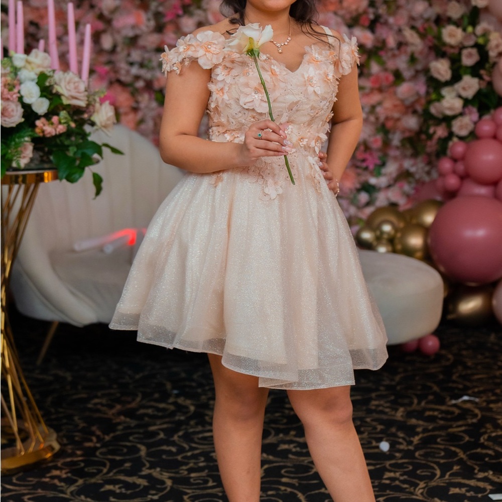 Quinceañera Dress 
Size Small
In new condition only worn once